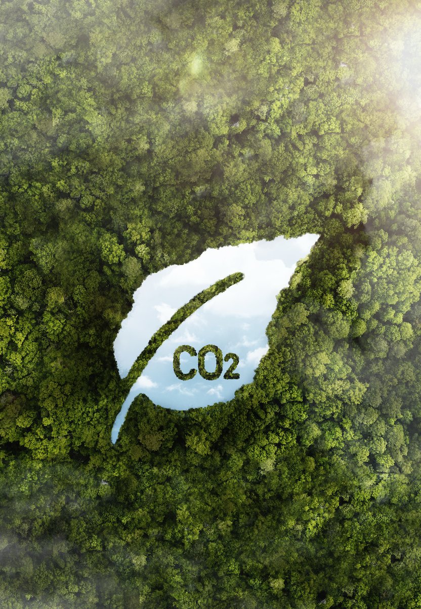 Forest seen from above with a CO2 leaf symbol